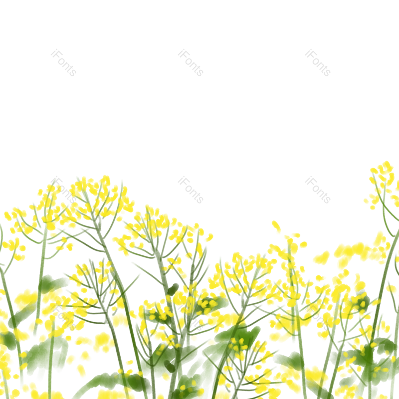 素材图片,花朵元素,鲜花PNG,春季免抠素材